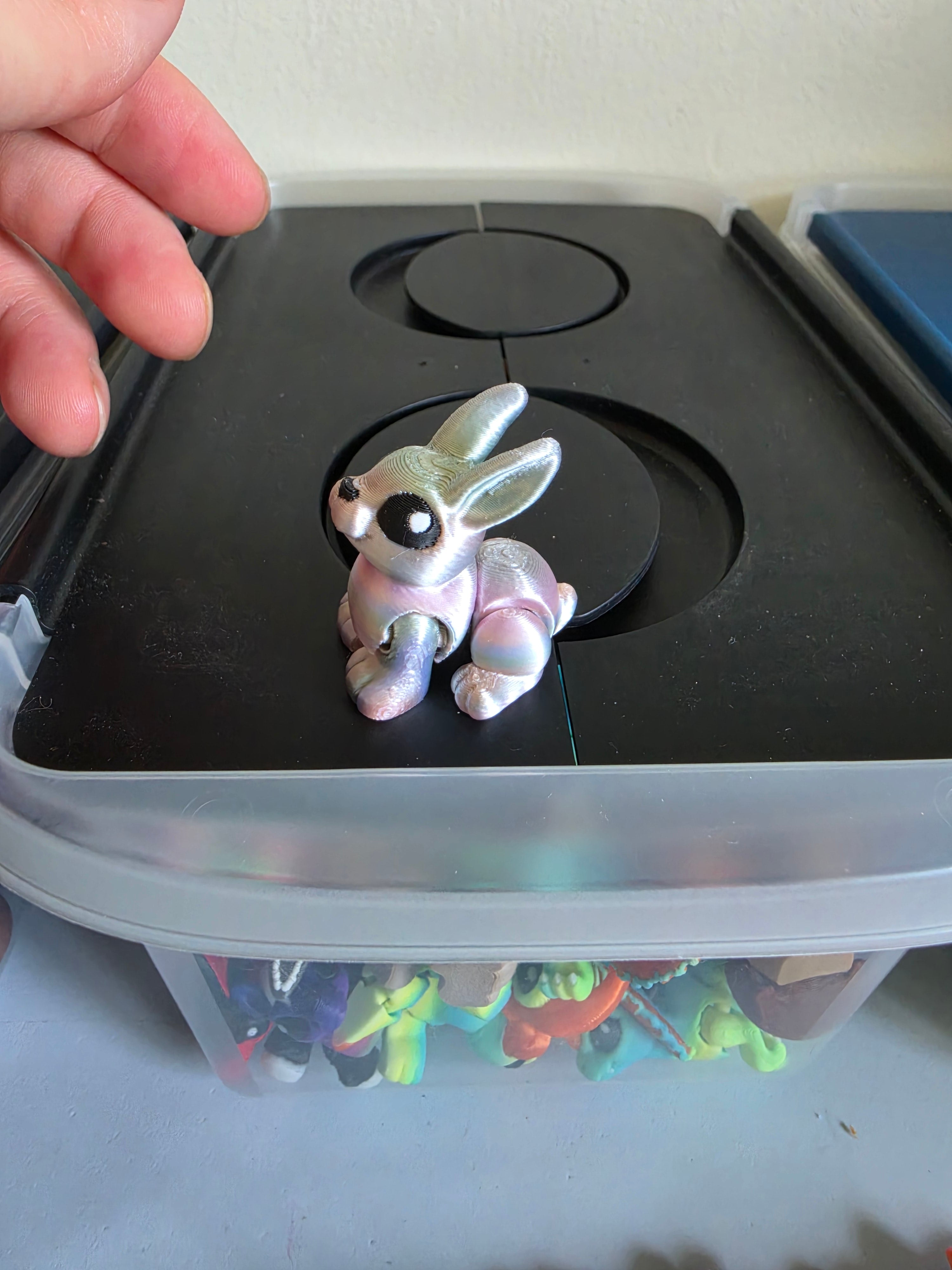 bunny hatchling