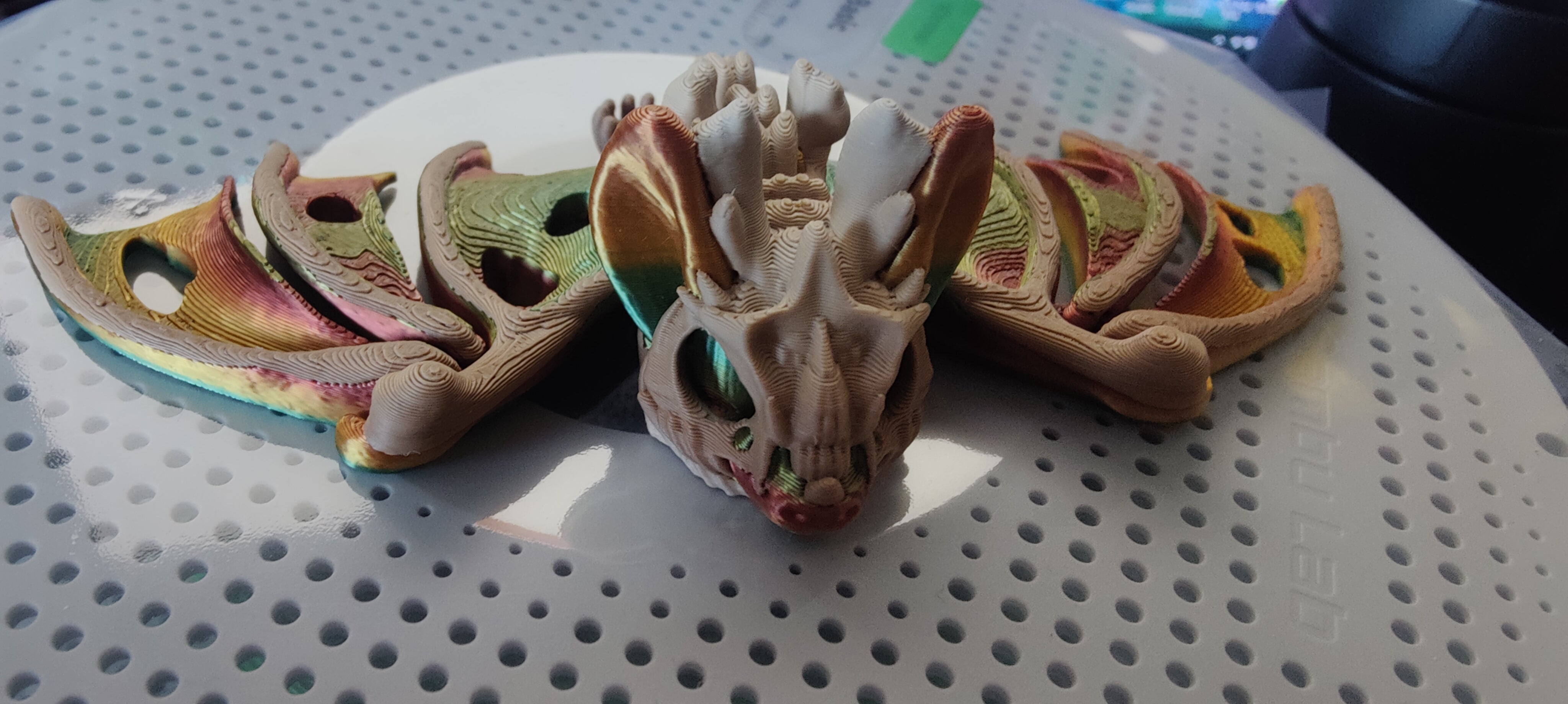 Tiny Hollow bat