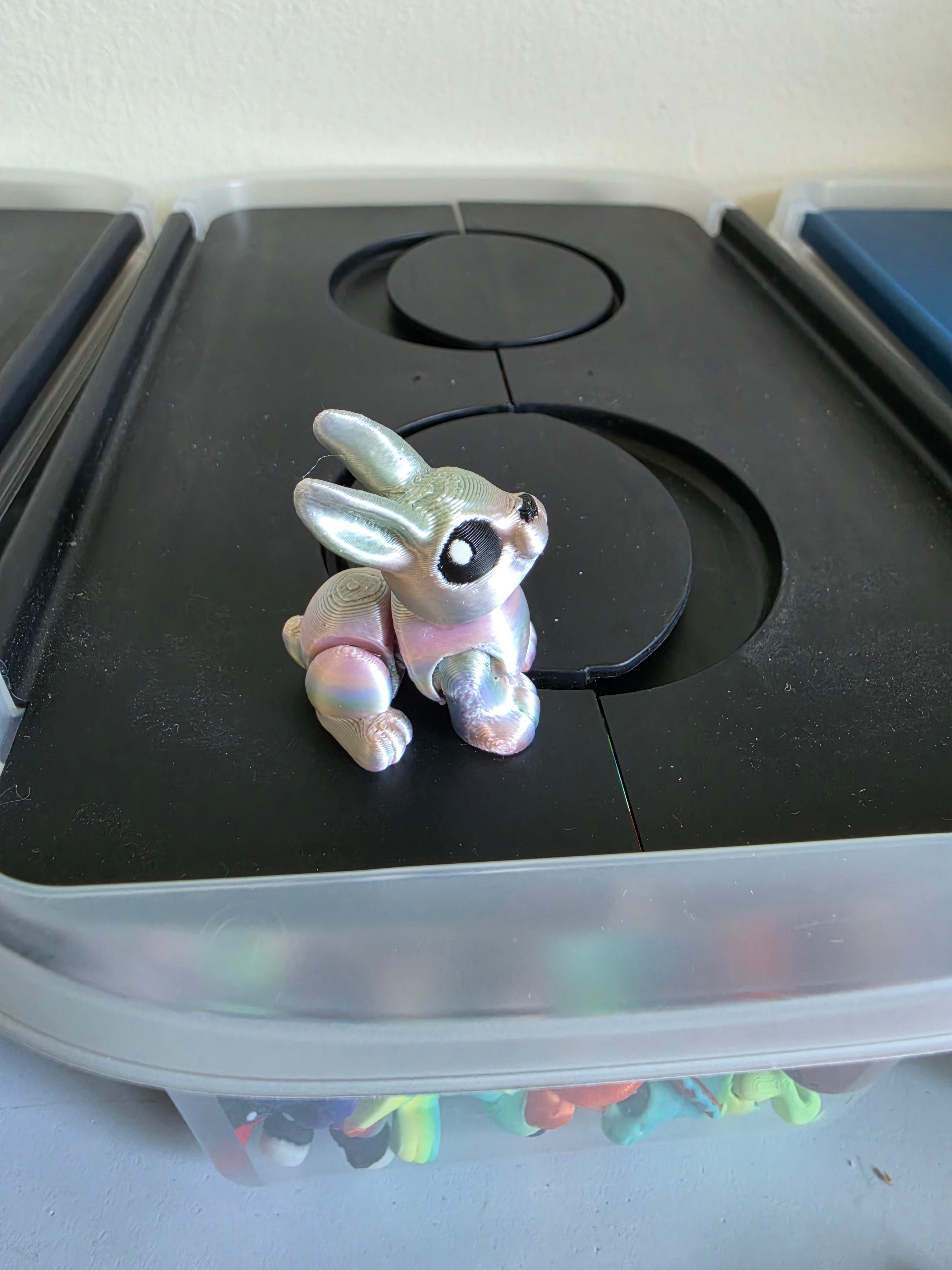 bunny hatchling
