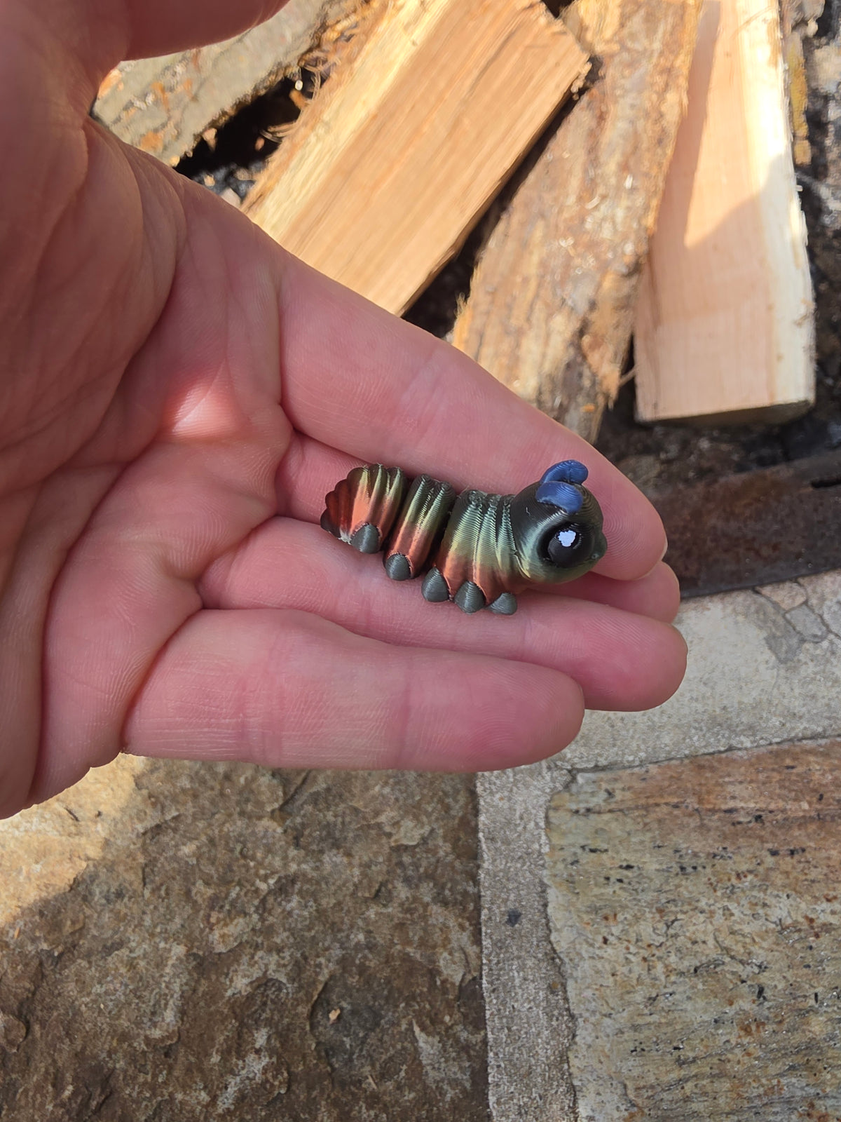 caterpillar hatchling