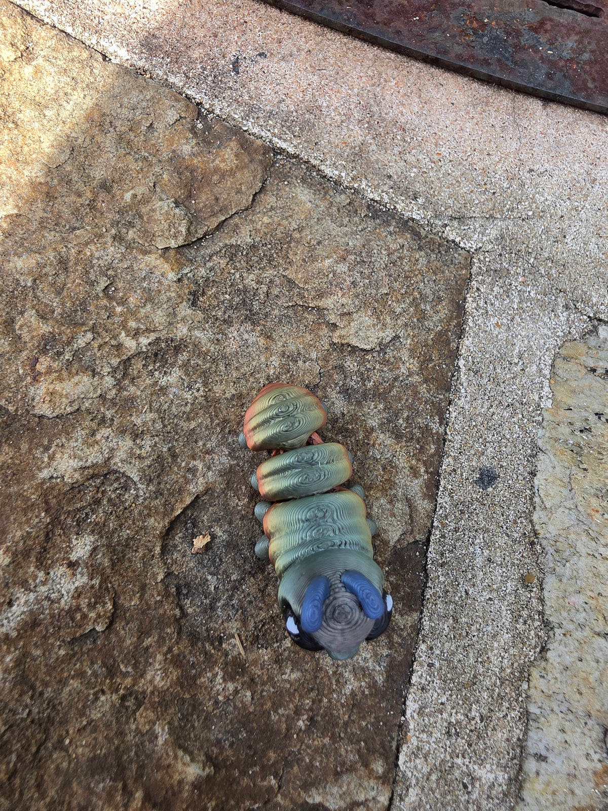 caterpillar hatchling